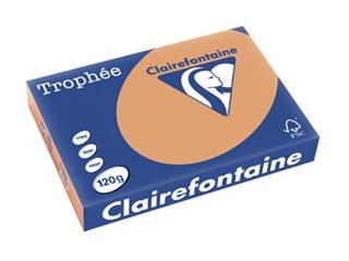 Clairefontaine gekleurd papier Trophée Pastel A4 producten bestel je eenvoudig online bij ShopXPress